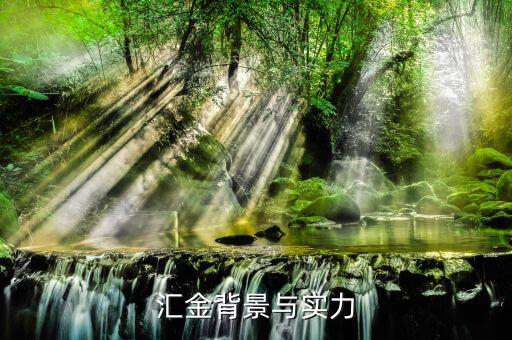 江蘇匯金控股什么背景，匯金公司是怎么回事