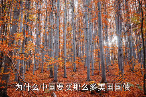 為什么要買美國國債，為什么要買那么多美國國債