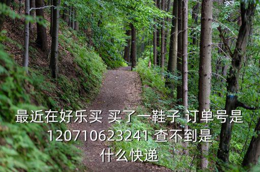 好樂買發(fā)什么快遞，我在好樂買用網(wǎng)銀付款買了雙鞋子請問他們都用什么快遞發(fā)貨