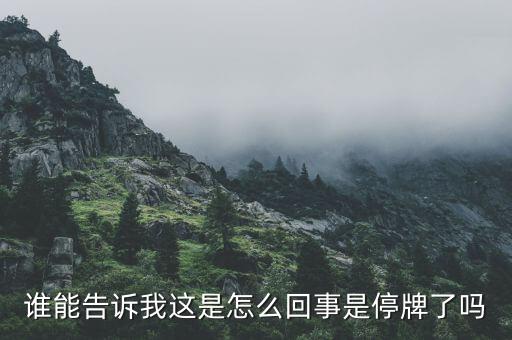 江南紅箭為什么停牌，江南紅箭為什么在軍工板塊里面沒(méi)有