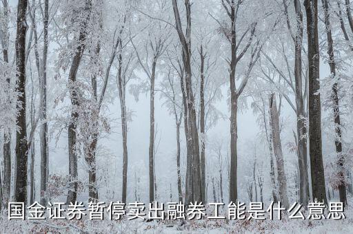 暫停融券是什么意思，國金證券暫停賣出融券工能是什么意思