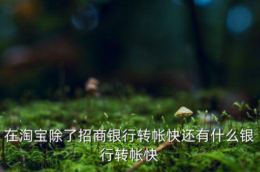 什么銀行網(wǎng)上轉(zhuǎn)賬最慢，在淘寶除了招商銀行轉(zhuǎn)帳快還有什么銀行轉(zhuǎn)帳快