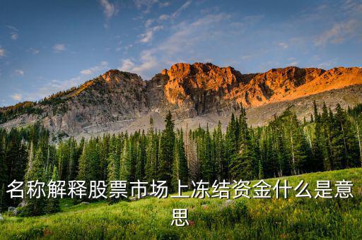 股票交易資金凍結(jié)什么意思，名稱解釋股票市場(chǎng)上凍結(jié)資金什么是意思