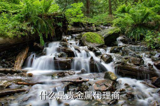 貴金屬做渠道是什么意思，什么是貴金屬延期交易渠道
