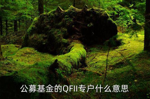 公募專戶是什么意思，什么是基金專戶