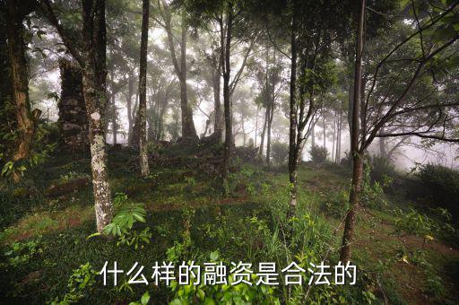 什么是合法的融資，什么是合法融資