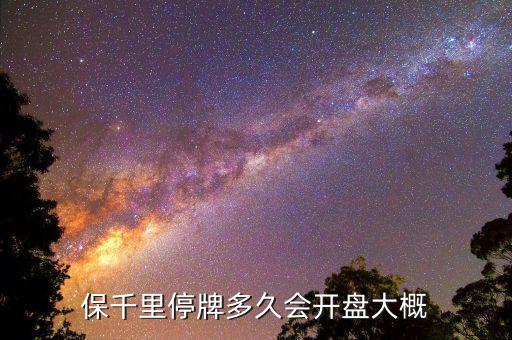 保千里什么時(shí)間上市，保千里什么時(shí)候復(fù)牌