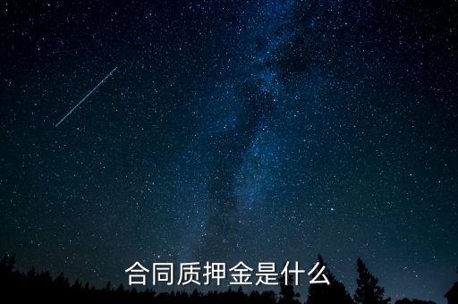 質(zhì)押金是什么，期貨中的質(zhì)押金是什么意思