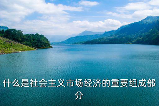 什么是社群經(jīng)濟，什么是社會主義市場經(jīng)濟