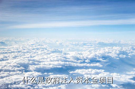 什么是資本金注入，什么是政府注入資本金項目