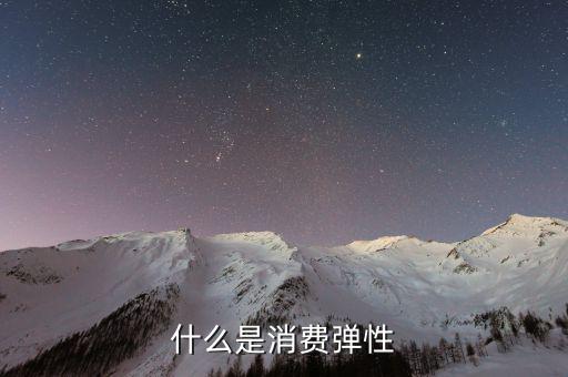 什么是消費彈性，什么是消費彈性