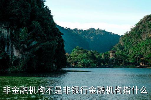 非金融機(jī)構(gòu)指什么，非金融機(jī)構(gòu)不是非銀行金融機(jī)構(gòu)指什么