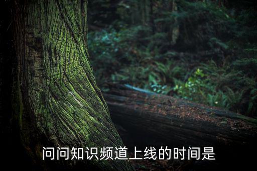 愛網(wǎng)貸平臺什么時候上線，問問知識頻道上線的時間是