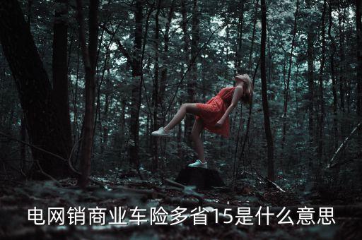 電網(wǎng)銷是什么意思，電網(wǎng)銷商業(yè)車險(xiǎn)多省15是什么意思