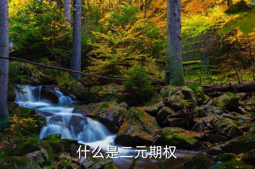 期權(quán)是什么，什么是二元期權(quán)