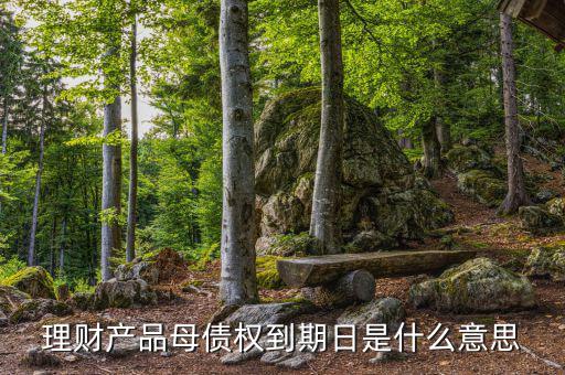 訂單債權(quán)到期什么意思，什么叫第三方到期債權(quán)