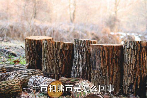 什么是熊市，人們?nèi)粘Ｕ務(wù)摴墒行星闀r(shí)常提及牛市熊市其中牛市指
