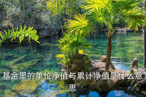 基金凈值和累計(jì)凈值是什么，基金里的單位凈值與累計(jì)凈值是什么意思