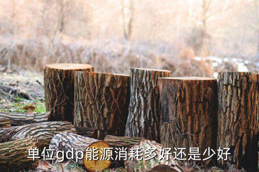單位GDP越高說明什么，GDP代表著什么