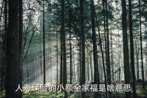 人壽全家福是什么意思，人壽保險的小額全家福是啥意思
