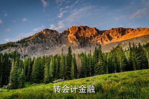 什么是外匯飽和，國(guó)外網(wǎng)友說(shuō)要轉(zhuǎn)外幣給我叫我轉(zhuǎn)給她國(guó)內(nèi)的朋友她國(guó)內(nèi)的朋友銀