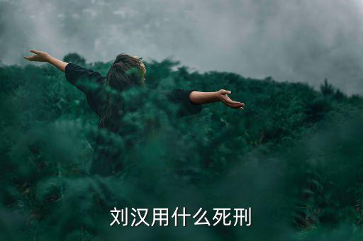 劉漢什么罪，劉漢用什么死刑