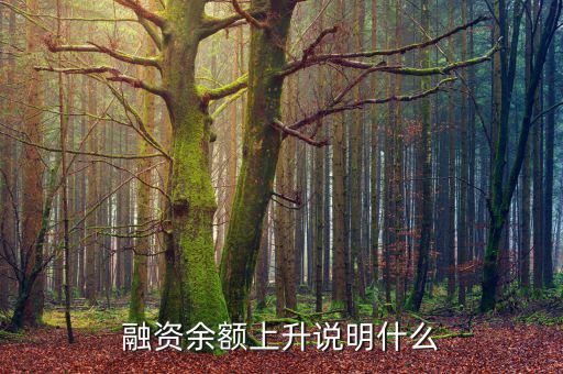 濰柴融資額度很高說明什么，融資余額上升說明什么