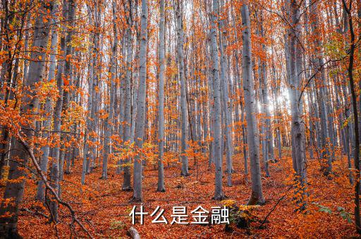 金融是什么，什么是金融