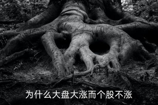 板塊都漲我的個股不長什么原因，為什么大盤大漲而個股不漲