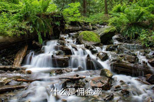 什么是傭金比率，什么是傭金率