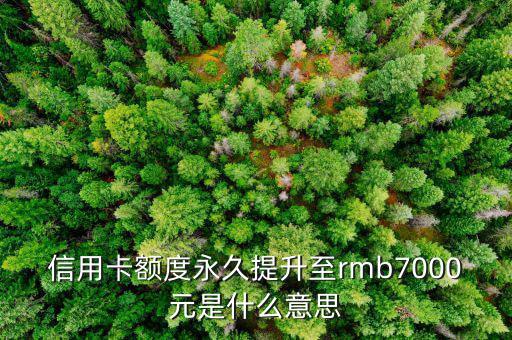 信用卡永久額度是什么意思，信用卡額度永久提升至rmb7000元是什么意思