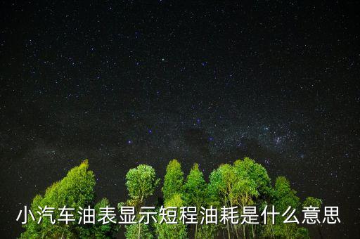 油耗顯示是指什么，請(qǐng)教專業(yè)人士瞬時(shí)油耗顯示是什么意思