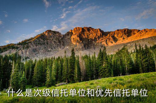 什么是優(yōu)先次級(jí)受益人，簡單解釋下信托的優(yōu)先次級(jí)機(jī)構(gòu)是什么意思