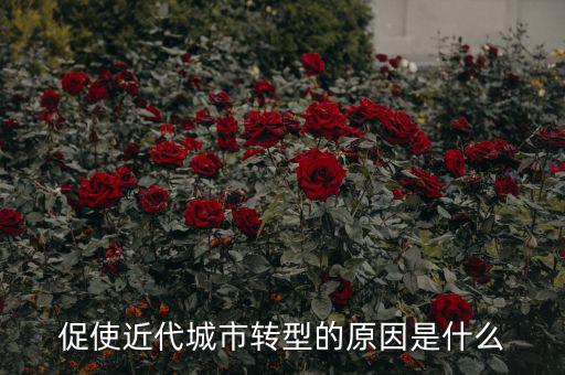 為什么城鎮(zhèn)化要轉(zhuǎn)型，促使近代城市轉(zhuǎn)型的原因是什么