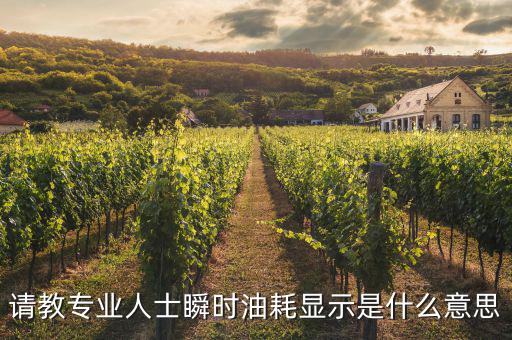 請教專業(yè)人士瞬時(shí)油耗顯示是什么意思