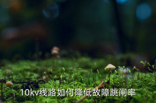 為什么巡視一汽集團，考駕照筆試可以照抄嗎