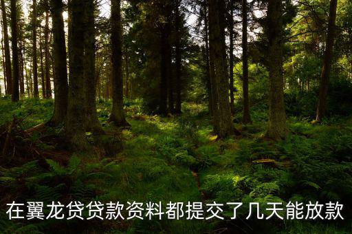 翼龍貸什么時(shí)候放項(xiàng)目，在翼龍貸貸款資料都提交了幾天能放款