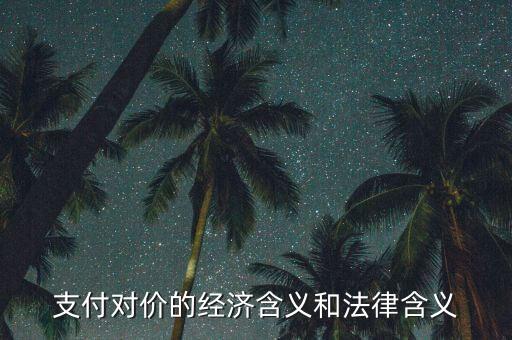 支付對價的經(jīng)濟(jì)含義和法律含義