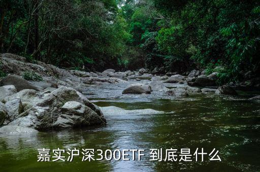 深證etf是什么，ETF 是什么意思