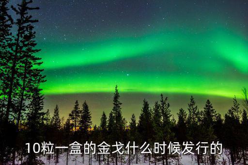 金戈什么時候開始銷售，金戈什么時候上市