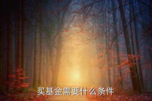 買基金有什么條件，買基金都需要什么條件啊