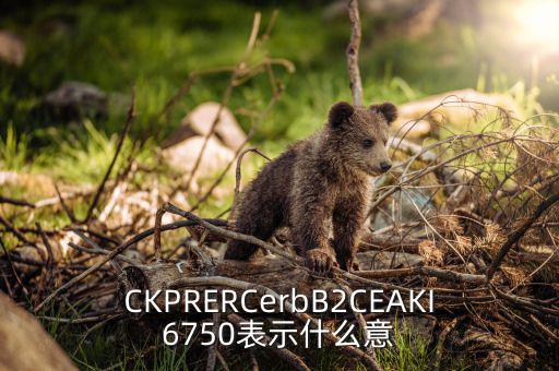 分類調控是什么意思，CKPRERCerbB2CEAKI6750表示什么意