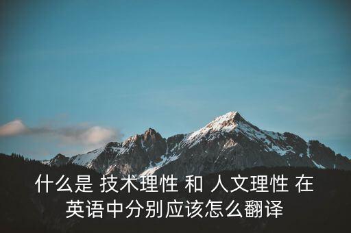 什么是 技術理性 和 人文理性 在英語中分別應該怎么翻譯