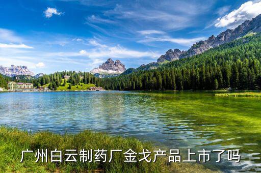 白云山偉哥什么時(shí)候上市，中國偉哥什么時(shí)候上市
