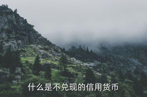 什么是不兌現的信用貨幣