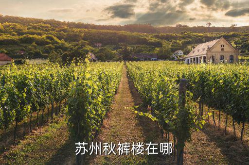 蘇州的秋褲大樓叫什么，蘇州的標(biāo)志性建筑秋褲在蘇州市區(qū)嗎