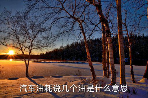 汽車油耗說幾個(gè)油是什么意思