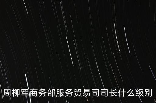 周柳軍商務(wù)部服務(wù)貿(mào)易司司長什么級(jí)別