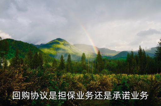 資產(chǎn)回購(gòu)協(xié)議屬什么合同，股權(quán)轉(zhuǎn)讓及回購(gòu)協(xié)議屬于借款合同嗎