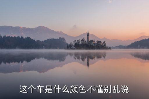 尼日利亞的國車是什么顏色，GIN的車子是什么牌子什么顏色的